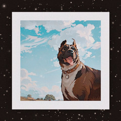 Сузор'е Ася