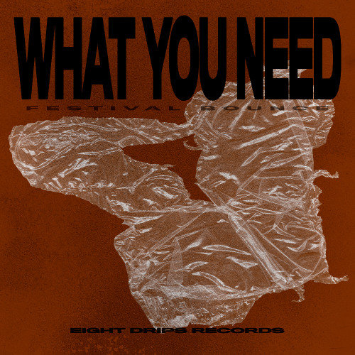 What You Need (Festival Bounce)