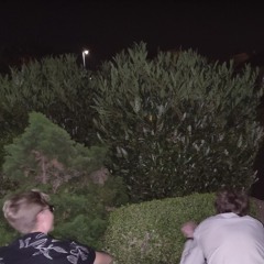 The Forbidden Story of The Lost Gambler