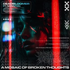A Mosaic Of Broken Thoughts (Feat. NoRinTon)