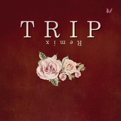 Trip (remix)