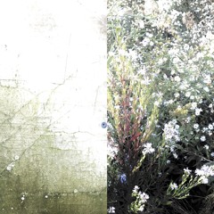 2025_2025-12-0281-40-36