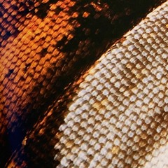 Cukrus @viskas gerai