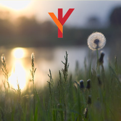 Svogan - LIVING IN HARMONY 132