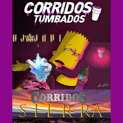 CORRIDOS TUMBADOS VS CORRIDOS SIERRA