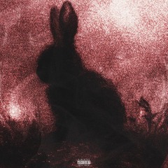 2020 Demo Tapes - A hegyi harmat legendája