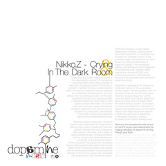 In the Dark Room (Original Mix)