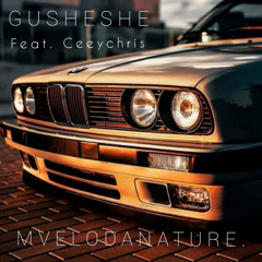 Gusheshe (feat. CeeyChris)