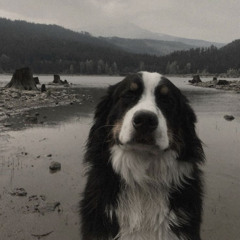 i watched you become a stranger