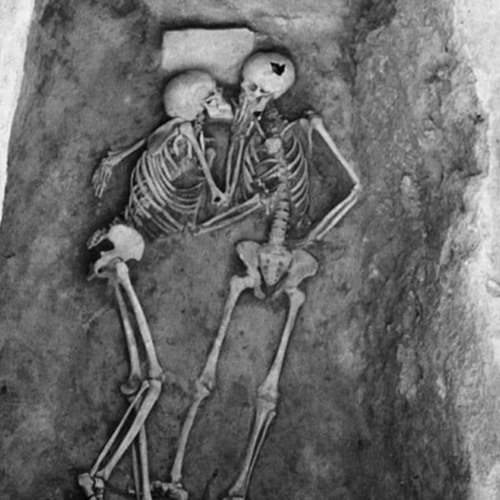 AFTER LIFE (Sleeping with AMY V)