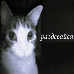 раздевайся (prod. Rawgerio)