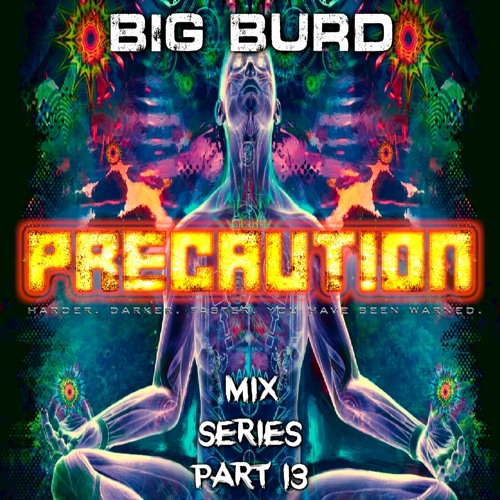 Precaution Mix Series Part 13 - Big Burd