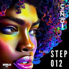 SLIDE 012 STEP