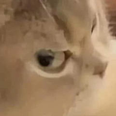 LEMIK-G-kuzyndalbitLEAK