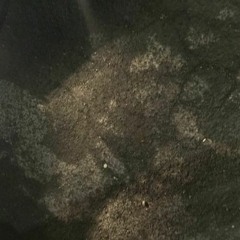 Kapjav - From Above :/ (Sped Up) [By: Kanmi Kay]