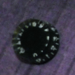 Their desecration will not be forgotten