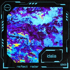 re:flect radar 08: idalia