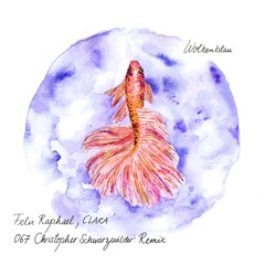Felix Raphael & CLARA - Wolkenblau (Christopher Schwarzwälder Remix)