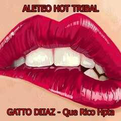 GATTO DIIAZ - Que Rico Hpta ( Tribal Guaracha Aleteo Zapateo ) Original Mix