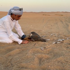 لانشفت الارياق في اليوم الختامي