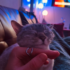 shake it - LPTN House Mix