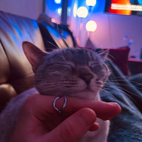 shake it - LPTN House Mix