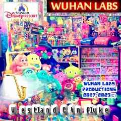 Wuhan Labs