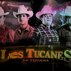 Edicion Especial - Puras De Los Tucanes!