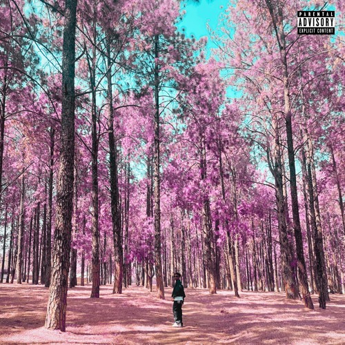 Double Cup Flow [Prod. KindlyNxsh]