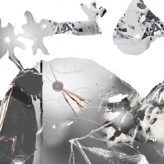 Naeiiv - Variation In Modification (Snippet)
