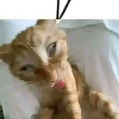 Kể Từ Ngày Đỗ Vỡ ver2- pthoàn 🍠