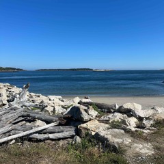 My Shadow’s Calling