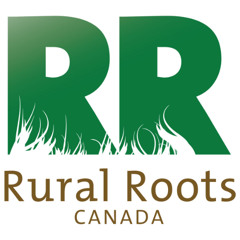 Vegreville & BonnyVille -Monday, Nov. 10 - Farm Weather