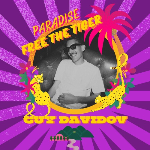 Camp Paradise - Free The Tiger At The Audiophile