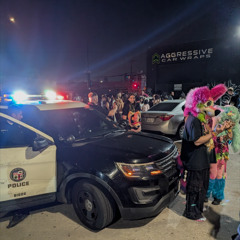 the cops rolled the furry rave :(