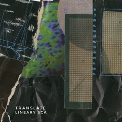 Floating Input-  Translate-