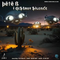 I Destroy Silence - March 23 - Pete B