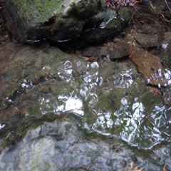 side of a mountain stream 2（渓流端２）230202