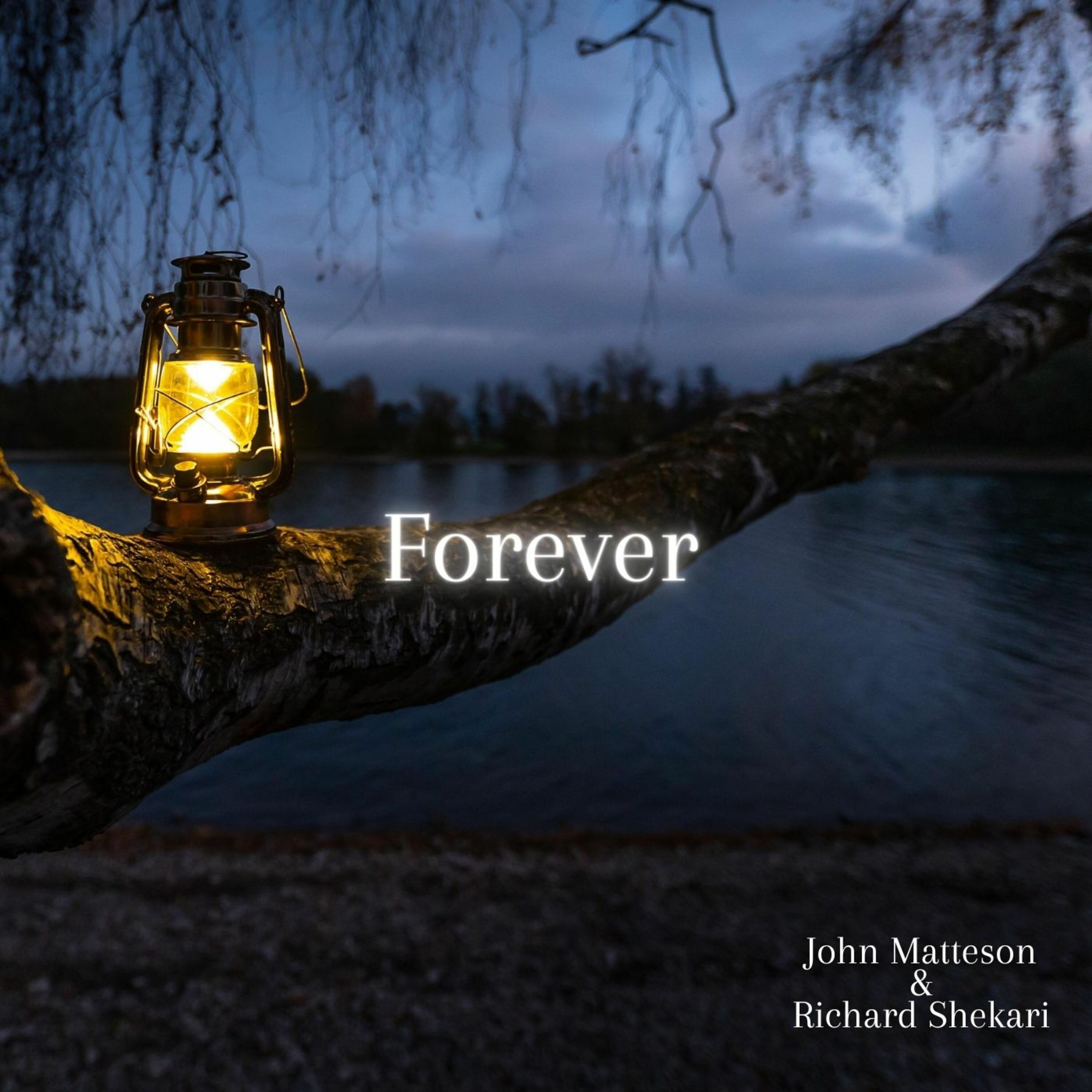 Richard Shekari