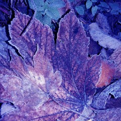 𝟣𝟣𝟣 𝒜𝑀