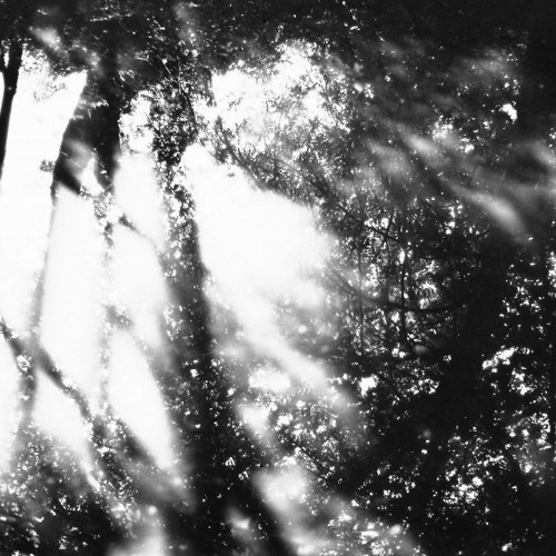 Open Hand Real Flames - Theremin special 020725