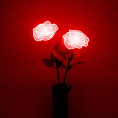 RED ROSE RUBIGINOSA (BOTANICAL REMIX)