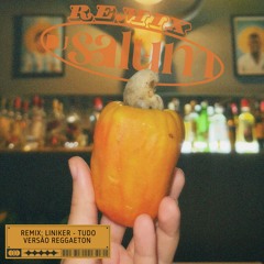LINIKER: TUDO - REGGAETON - SALUM REMIX