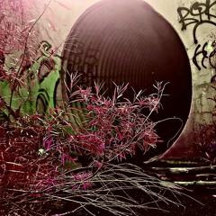 Holiday - what am I supposed to do?