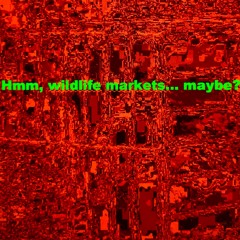Hmm, wildlife markets... maybe? (ft Jay Kay)