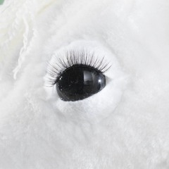 øjne prod 1017.ONIXXA