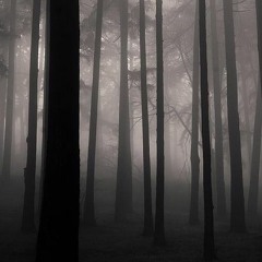 Darkside Drum and Bass Mix Nr.1// by Neurotransmitter