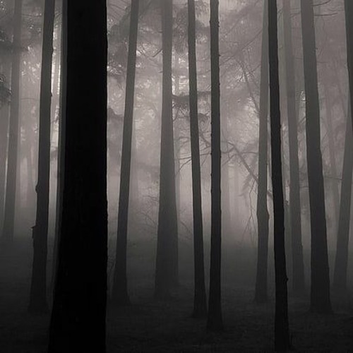 Darkside Drum and Bass Mix Nr.1// by Neurotransmitter