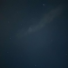 in the night
