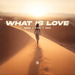 SEMM, Fyon & feva. - What Is Love